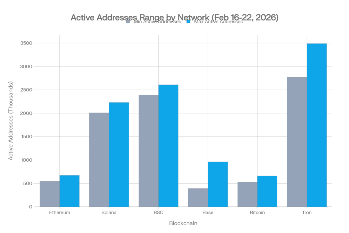 Blockchain On-Chain Metrics Weekly Report: February 16–22, 2026: A Deep Dive Into Six Major Chains
