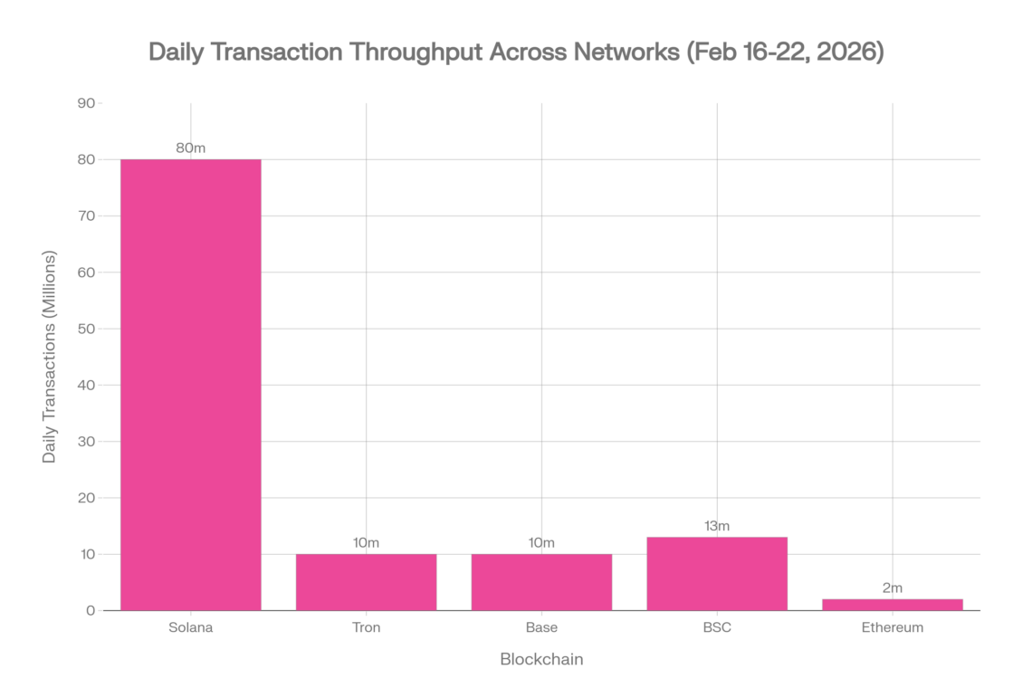 Blockchain On-Chain Metrics Weekly Report: February 16–22, 2026: A Deep Dive Into Six Major Chains