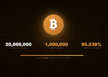 Bitcoin Supply has reached 20 Million and only 1 Million btc remains for mining