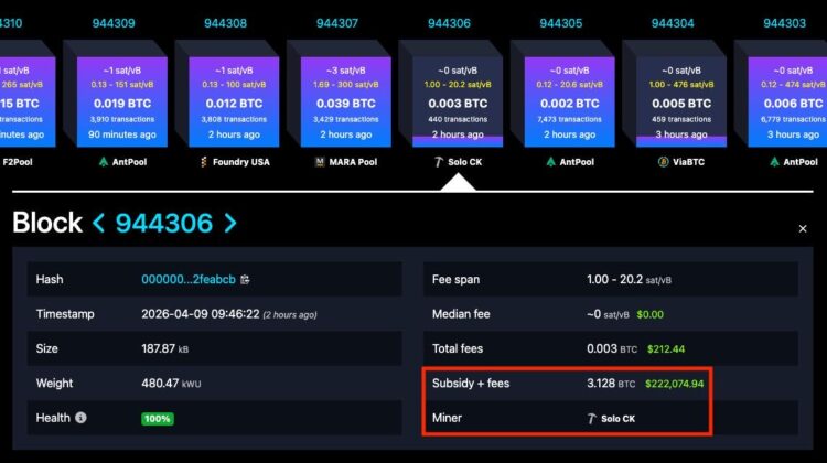 Solo Bitcoin Miner Finds Block 944306 