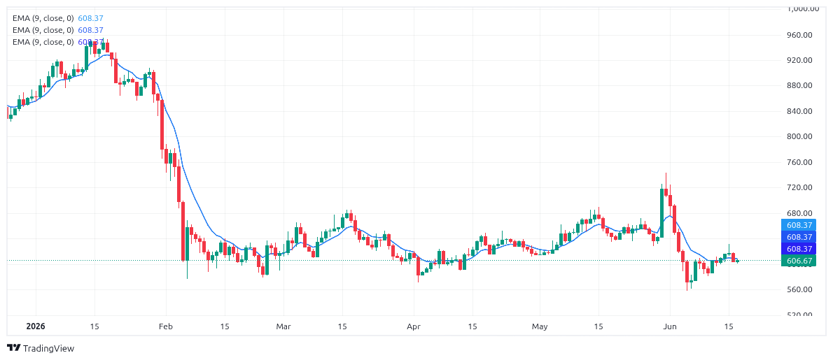 BNB Chart