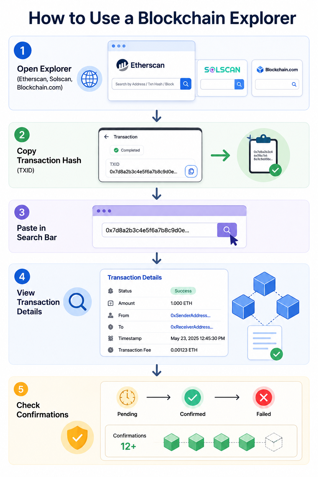 How to Use a Blockchain Explorer