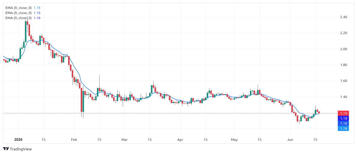 XRP Chart