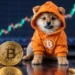 Bitcoin $DOG Mode Aims to Remove Bitcoin Core Relay Policy Limits