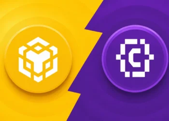 CodexField on BNB Chain Faces Rug Pull Allegations