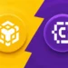 CodexField on BNB Chain Faces Rug Pull Allegations