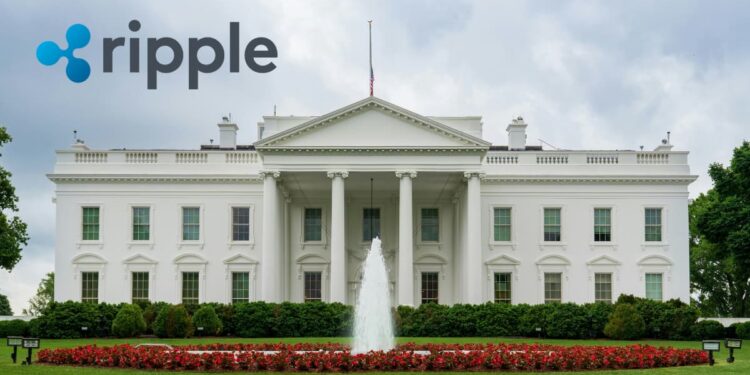 Ripple CEO Cites Ripple-Funded Nonprofit's Stat in Crypto Adoption Claim to Trump