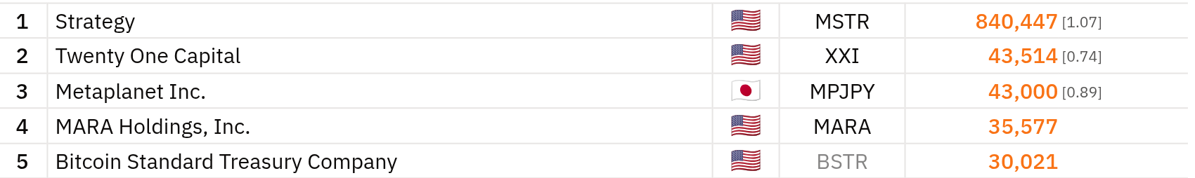 Bitcoin Treasury Companies by Holdings