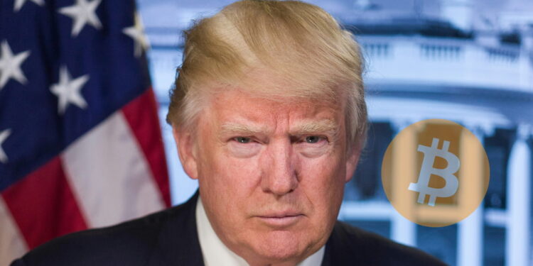 Trump Media's Bitcoin Bet Grew to 14,139 Coins the Same Quarter It Lost $238 Million