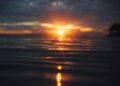 CSD BR and Ripple Mirror BTG Pactual Fund Records on the XRP Ledger