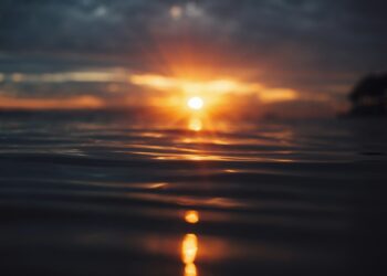 CSD BR and Ripple Mirror BTG Pactual Fund Records on the XRP Ledger