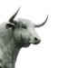 KuCoin Futures Adds Perpetuals Tracking Wendy's, Tempus AI, and Two Leveraged ETFs