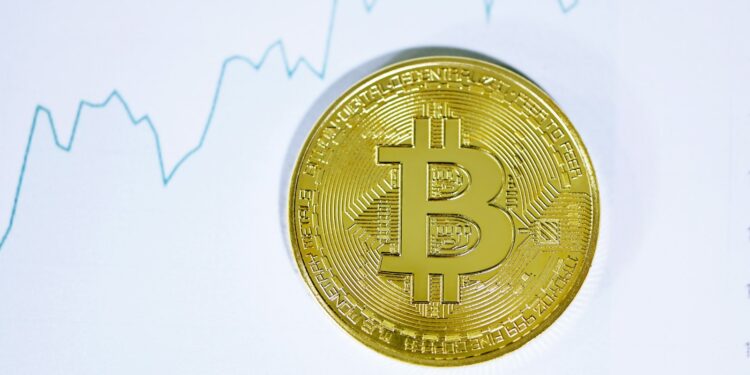 Stablecoin Development Corp Discloses SKY Holdings Near 10% of Token Supply
