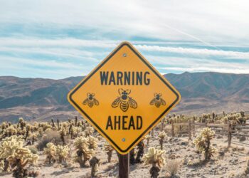 KuCoin Suspends Initia Deposits and Withdrawals a Day After the Network Went Offline