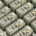 Treasury Sanctions Russia-Linked A7 Network Over $179 Billion in Stablecoin Flows
